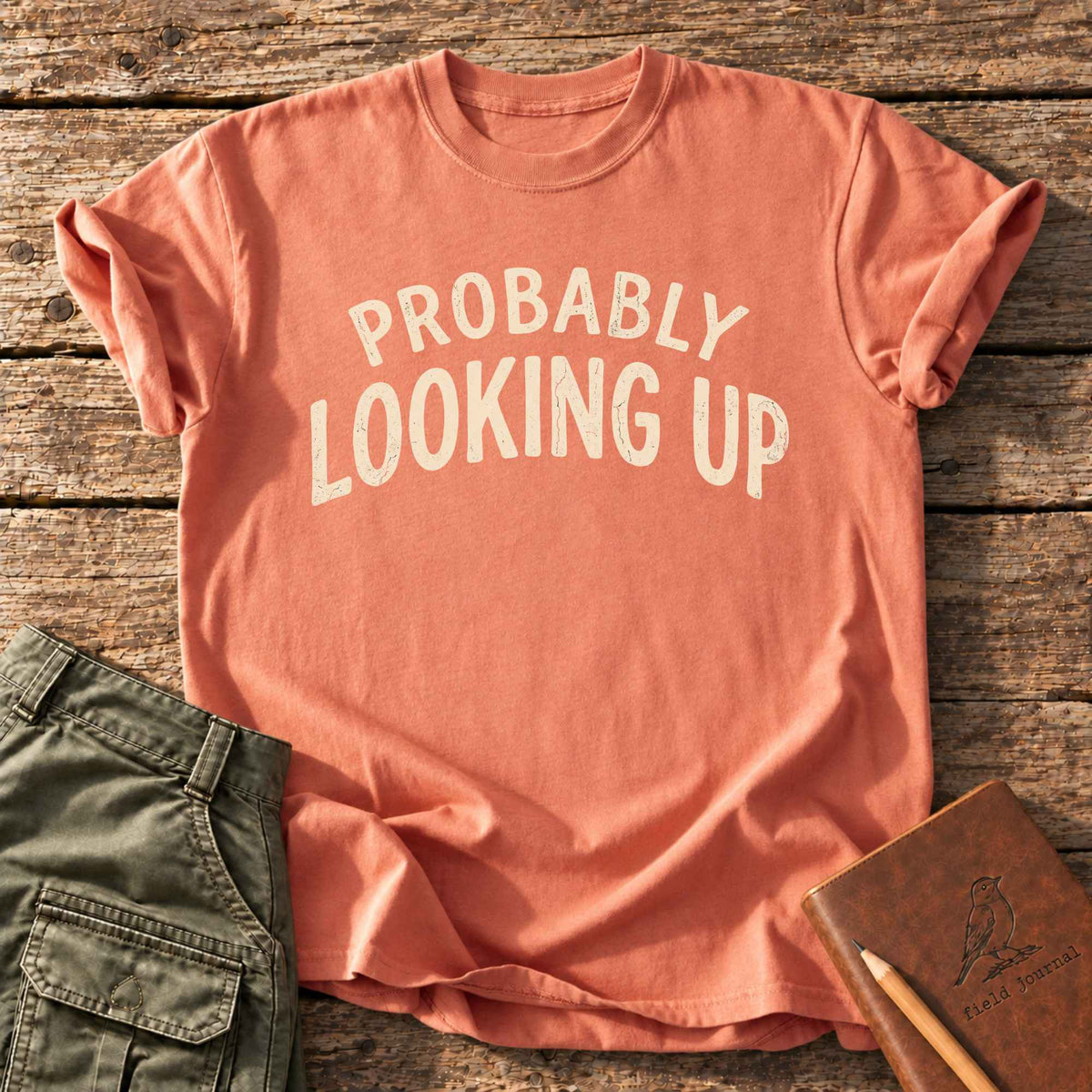 Probably Looking Up T-Shirt