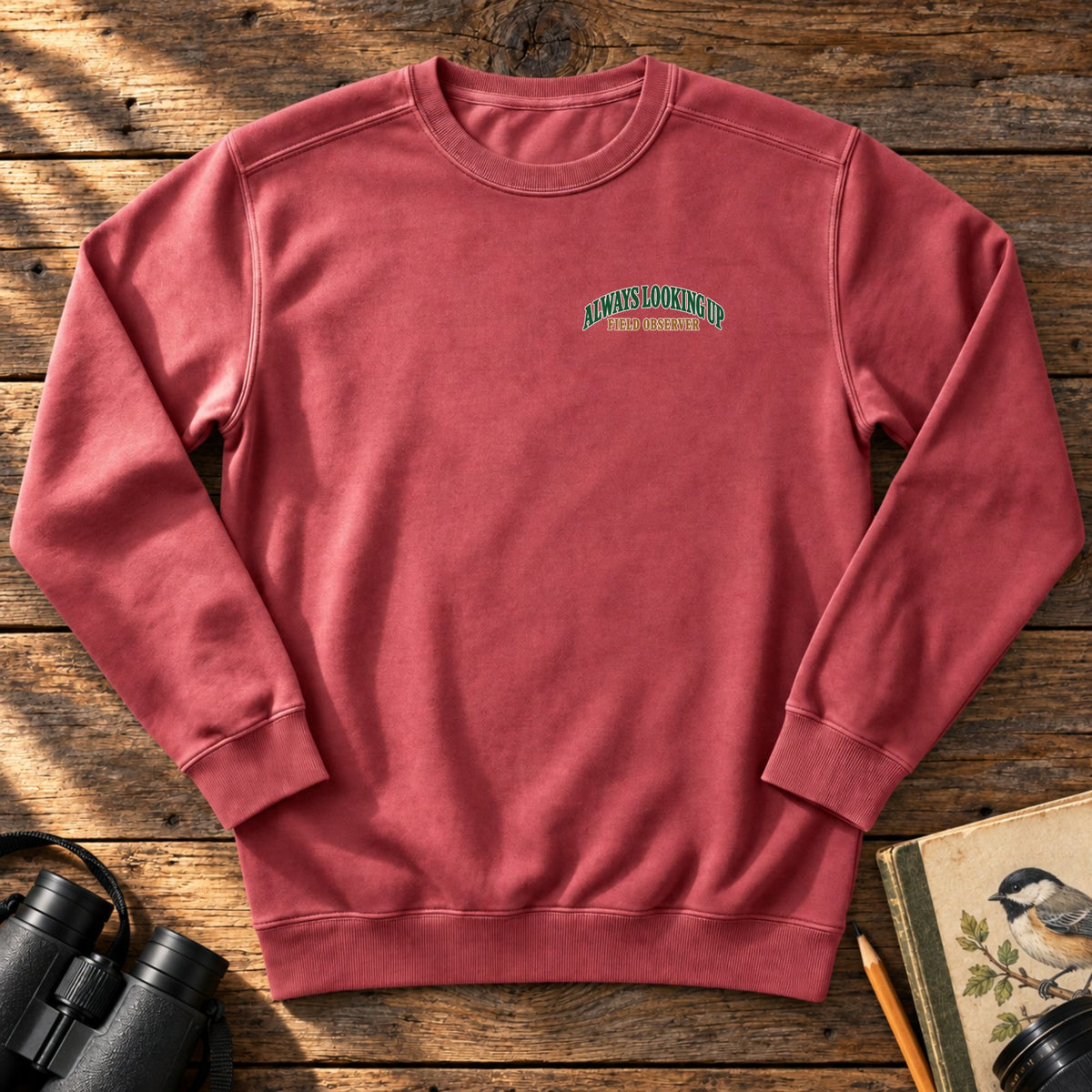 Always Looking Up Embroidered Sweatshirt